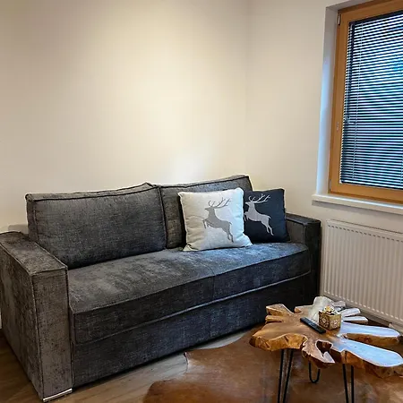 Alpen Kirchberg Apartmán *