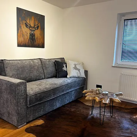 Apartament Alpen Kirchberg Kirchberg in Tirol