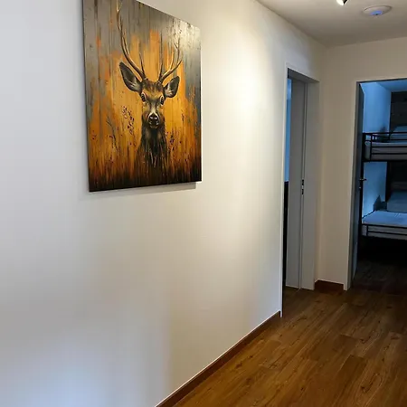 Apartament Alpen Kirchberg *